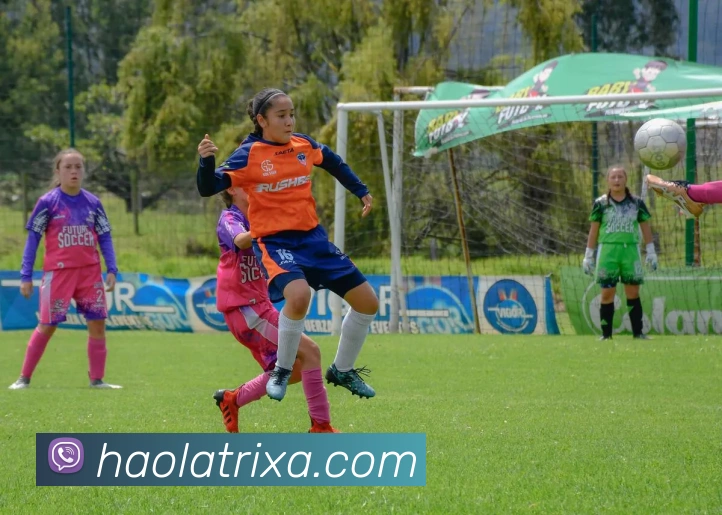 豪利体育APP 封面图